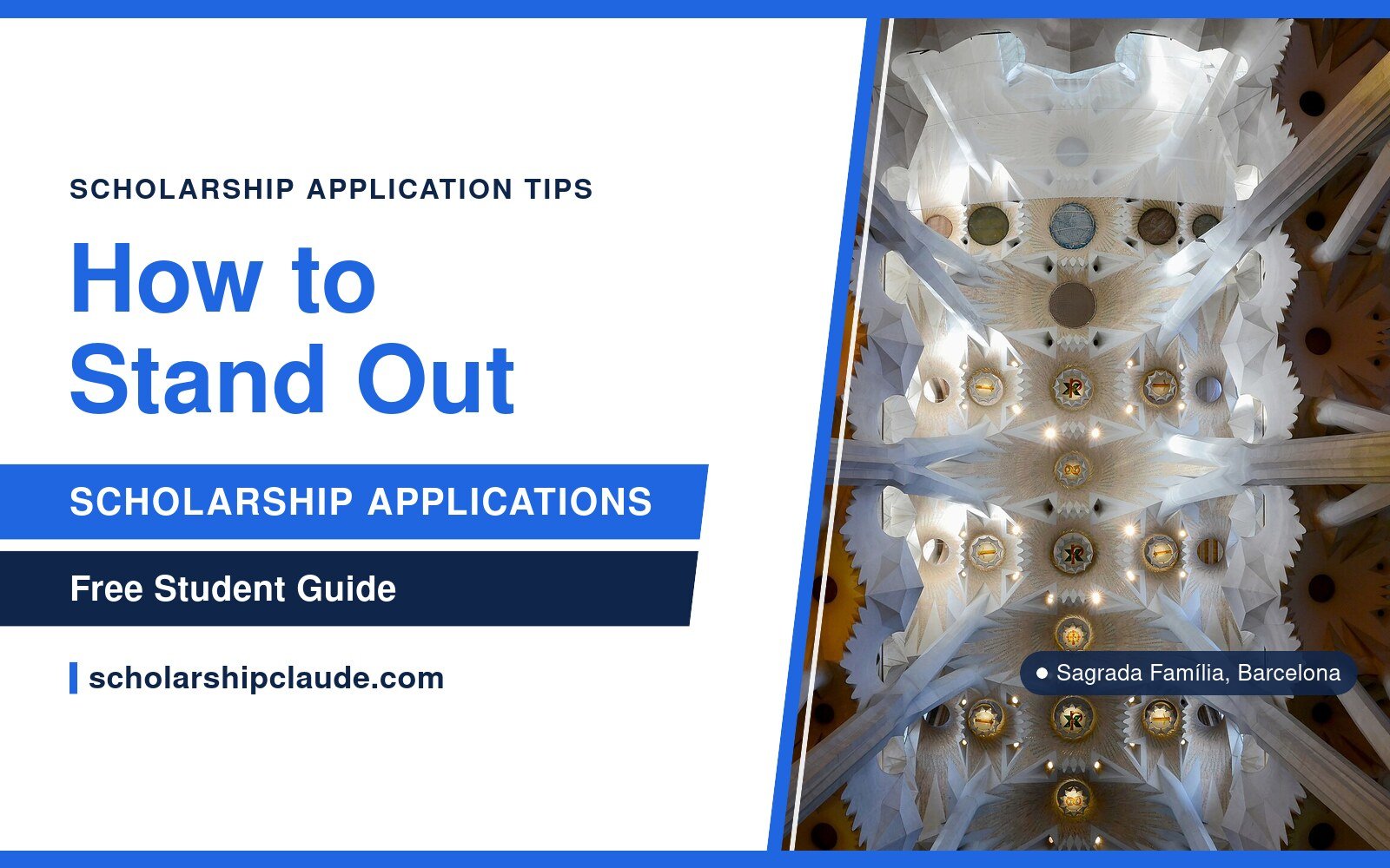 How to Stand Out in Your Scholarship Application